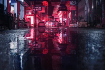 Red neon signs reflected in a street puddle